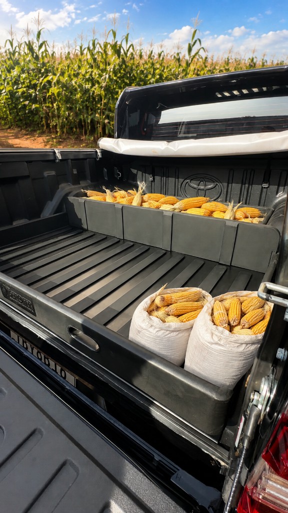 Transporte de milho na caçamba com Gavetão